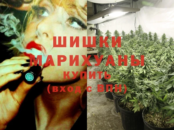 spice Карпинск