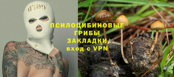 молекула духа Касимов