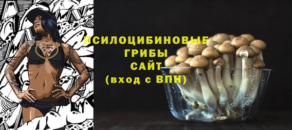 spice Баксан