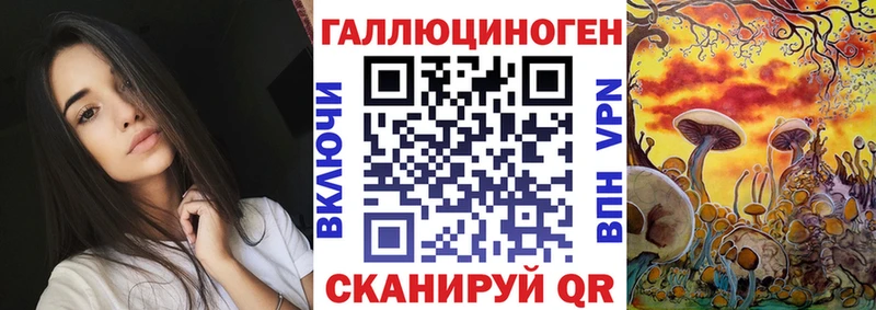 где найти наркотики  Сретенск  Галлюциногенные грибы мицелий 